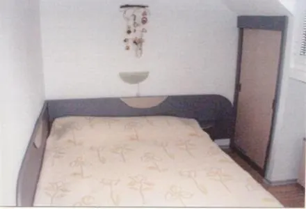 Magnolia Guest Pomorie